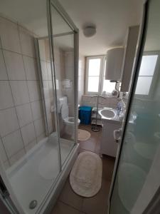 a bathroom with a shower and a toilet and a sink at Apartment Osk in Osijek