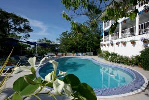 Gallery image of Hotel Mockingbird Hill in Port Antonio