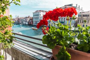 a view of a canal with red flowers on a balcony at Ca Zulian Venice - Grand Canal in Venice