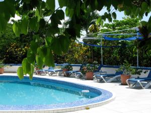 Gallery image of Hotel Mockingbird Hill in Port Antonio