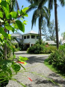 Gallery image of Hotel Mockingbird Hill in Port Antonio