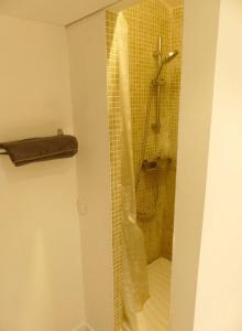 a shower with a glass door in a bathroom at Dépendance sainte Anne in Marseille