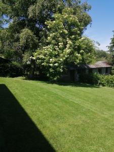 Jardin de l'établissement A La Reid Paisible