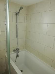a bathroom with a shower with a bath tub at Markora Central Apartment in Nicosia