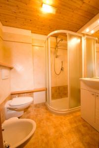 a bathroom with a shower and a toilet and a sink at Pa' Eimbdlar in Sauris