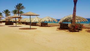 een strand met een aantal rieten parasols en de oceaan bij Ecotel Dahab Bay View Resort in Dahab