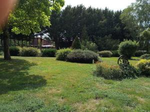 un parc avec un banc et quelques buissons et arbres dans l'établissement gite de la fontaine, à Épothémont