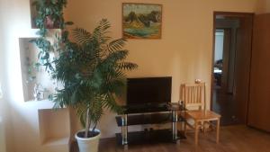 un salon avec une télévision et une plante dans l'établissement Guest House Zdravets, à Sapareva Banya