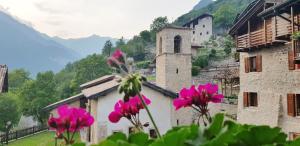 un grupo de flores rosas frente a un edificio en Casa Calvola holiday home, en Tenno