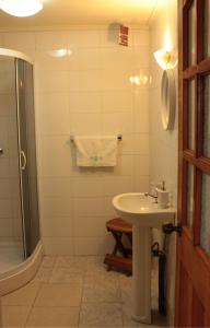 uma casa de banho com um lavatório e um chuveiro em Hospedaje Isla Magdalena em Punta Arenas