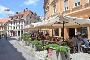Gallery image of Apartment Central Station between Dragon and Triple Bridges in Ljubljana