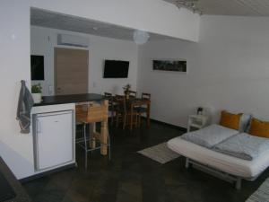 a living room with a bed and a kitchen at Wohnen im ehemaligen Kaminstudio mit Klimaanlage in Lutherstadt Wittenberg