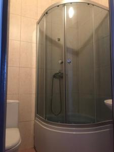 a shower with a glass door in a bathroom at Пані Анна in Kamianets-Podilskyi +46 photos