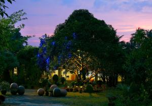 a garden with a large tree with blue lights at Clayfingers Art Cottage in Trichūr