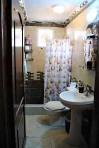 a bathroom with a sink and a toilet and a shower at Mhna guest house in Ajloun
