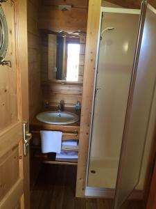 a small bathroom with a sink and a shower at Les Roulottes-Gîtes de la Ferme de l'Autruche Dromoise in Livron-sur-Drôme