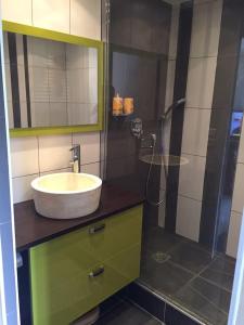 a bathroom with a sink and a shower at Appart Thonon Corzent au bord du Lac in Thonon-les-Bains