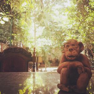a statue of a teddy bear sitting on a table at hostel vague in Antalya