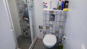 a bathroom with a toilet and a shower at Éva apartman in Balatonboglár