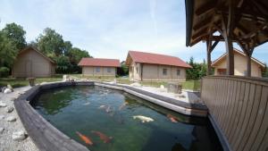 a pond with koi in a yard with houses at Sepp's Ferienhaus in Kirchham