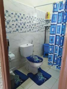 a bathroom with a toilet and a blue shower curtain at Chalet de la montagne in Ifrane