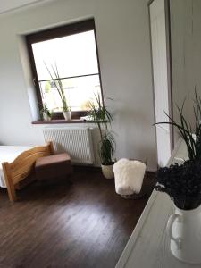 a living room with a window and potted plants at Privát in Poprad