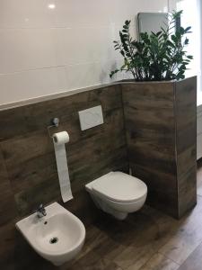 a bathroom with a toilet and a sink and a plant at Privát in Poprad