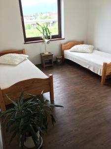 a room with two beds and a potted plant at Privát in Poprad