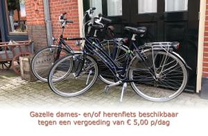 Катание на велосипеде по территории Boven-Langs или окрестностям