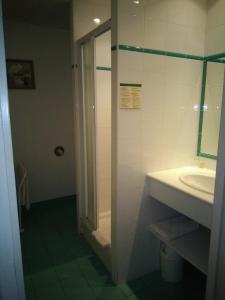 a bathroom with a shower and a sink at Hôtel du Donjon in Aulnay