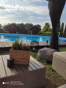 Bazén v ubytovaní Dom nad stawem przy lesie alebo v jeho blízkosti