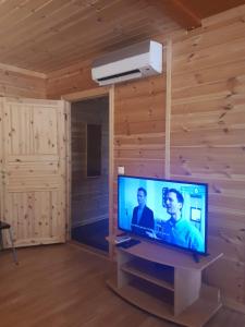 een televisie in een kamer met een houten muur bij Fossekroa in Svarstad