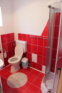 czerwona łazienka z toaletą i prysznicem w obiekcie American Dream w mieście Şimon