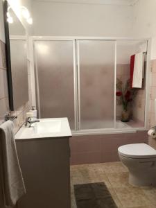 a bathroom with a shower and a sink and a toilet at Painel de Monsaraz in Reguengos de Monsaraz