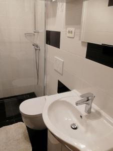 a bathroom with a toilet and a sink and a shower at Apartma ROK in Ankaran