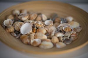 トラーパニにあるSale e Sabbiaのテーブルの上に貝殻一杯