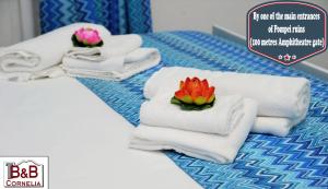 庞贝B&B Cornelia的一组毛巾和床上的花