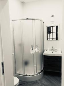 een badkamer met een douche, een toilet en een wastafel bij #VisitLublin Apartments City Center Narutowicza in Lublin