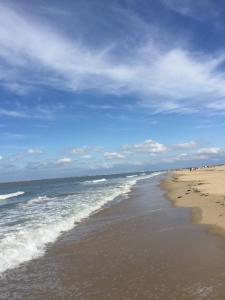 a beach with the ocean on a cloudy day at Hotel Prélude in Aalter