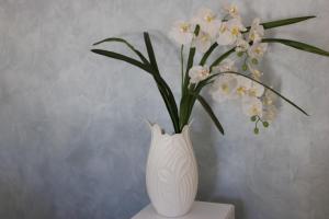 Fotografie z fotogalerie ubytování B&B Selene v destinaci San Vito lo Capo