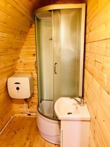 een badkamer met een douche, een toilet en een wastafel bij Luxury Camping POD in Zarasai