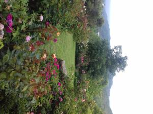 een uitzicht over een tuin met bloemen en planten bij B&B The Roses Garden in Millesimo