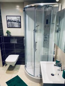 W łazience znajduje się prysznic, toaleta i umywalka. w obiekcie Listopadowa43 - z garażem w Bielsku Białej