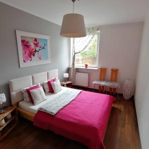 波茲南的住宿－科希爾納寧靜公寓，一间卧室配有一张带粉色毯子的大床