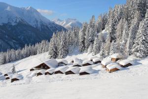 Alp Chalet Appartement im Winter
