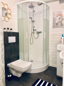 a bathroom with a shower and a toilet and a sink at Legnica Apartament 42m2 Delux 4 in Legnica