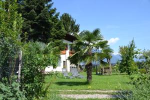 a house with chairs and a palm tree in a yard at Burggräflerhof in Lana