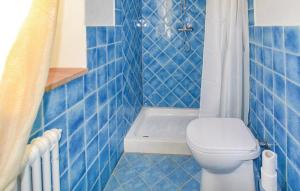 een blauwe betegelde badkamer met een toilet en een bad bij Il Giardino degli Olivi in Castiglion Fiorentino