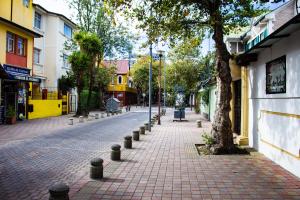 a cobblestone street with trees and buildings in a city at Hostal Loro Verde in Quito
