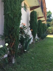 a house with trees and plants in the yard at Hotel Lienzo Charro 1 in Huasca de Ocampo
